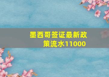 墨西哥签证最新政策流水11000