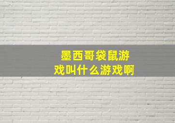 墨西哥袋鼠游戏叫什么游戏啊