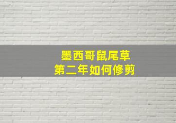 墨西哥鼠尾草第二年如何修剪