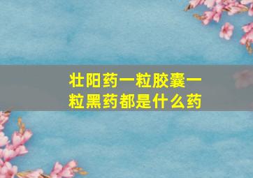 壮阳药一粒胶囊一粒黑药都是什么药