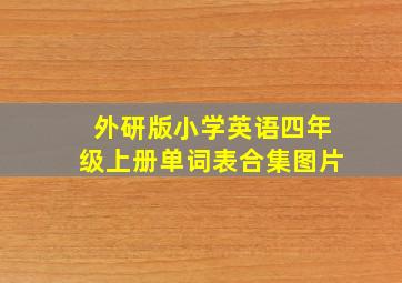 外研版小学英语四年级上册单词表合集图片