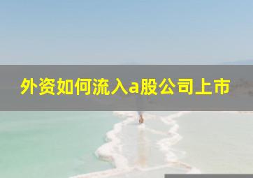 外资如何流入a股公司上市