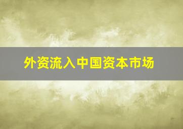 外资流入中国资本市场