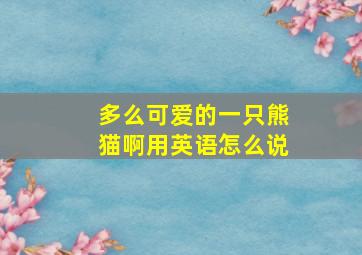 多么可爱的一只熊猫啊用英语怎么说