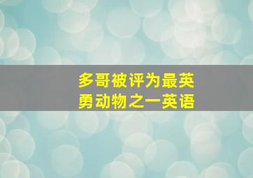 多哥被评为最英勇动物之一英语