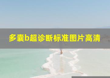 多囊b超诊断标准图片高清