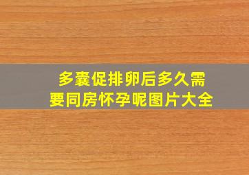 多囊促排卵后多久需要同房怀孕呢图片大全