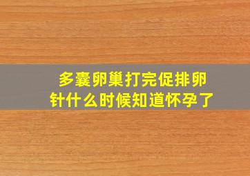 多囊卵巢打完促排卵针什么时候知道怀孕了