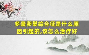 多囊卵巢综合征是什么原因引起的,该怎么治疗好