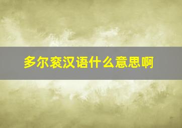 多尔衮汉语什么意思啊