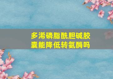 多浠磷脂酰胆碱胶囊能降低转氨酶吗