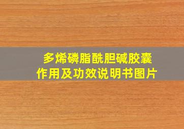 多烯磷脂酰胆碱胶囊作用及功效说明书图片