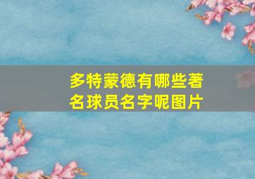 多特蒙德有哪些著名球员名字呢图片