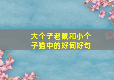 大个子老鼠和小个子猫中的好词好句