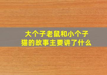 大个子老鼠和小个子猫的故事主要讲了什么