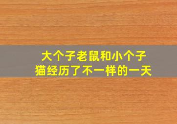 大个子老鼠和小个子猫经历了不一样的一天