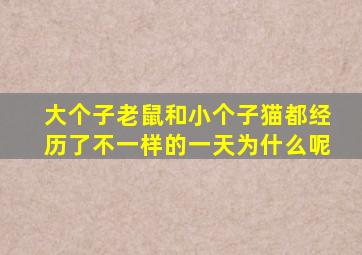 大个子老鼠和小个子猫都经历了不一样的一天为什么呢