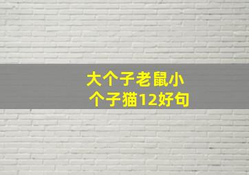 大个子老鼠小个子猫12好句