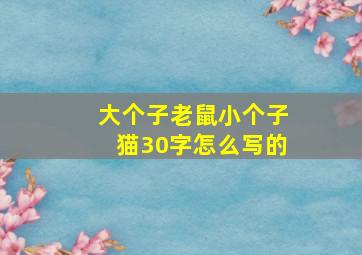 大个子老鼠小个子猫30字怎么写的