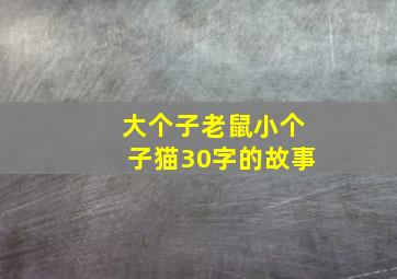 大个子老鼠小个子猫30字的故事