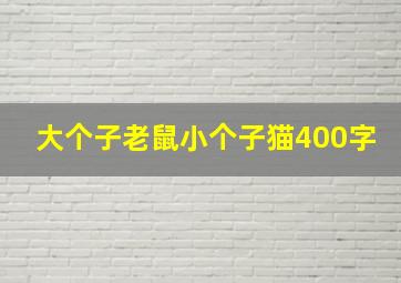 大个子老鼠小个子猫400字