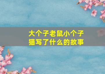 大个子老鼠小个子猫写了什么的故事