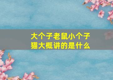 大个子老鼠小个子猫大概讲的是什么