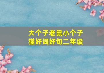 大个子老鼠小个子猫好词好句二年级