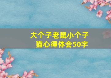 大个子老鼠小个子猫心得体会50字