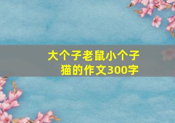 大个子老鼠小个子猫的作文300字