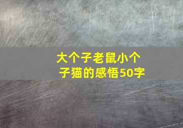 大个子老鼠小个子猫的感悟50字