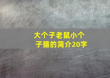 大个子老鼠小个子猫的简介20字