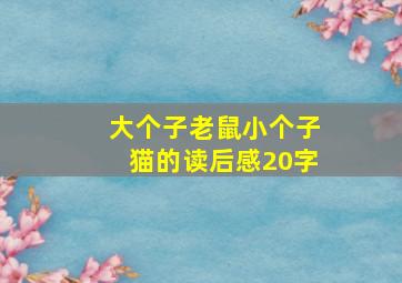 大个子老鼠小个子猫的读后感20字