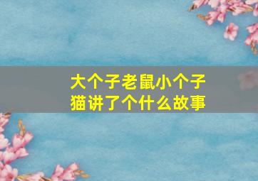 大个子老鼠小个子猫讲了个什么故事