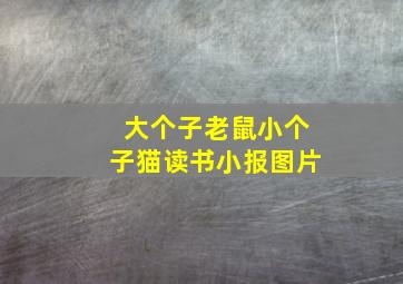 大个子老鼠小个子猫读书小报图片