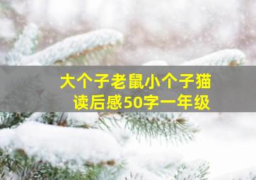 大个子老鼠小个子猫读后感50字一年级