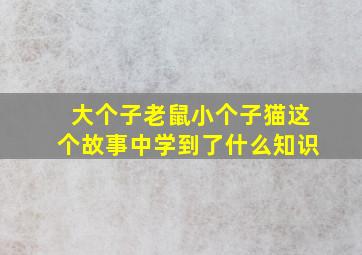 大个子老鼠小个子猫这个故事中学到了什么知识