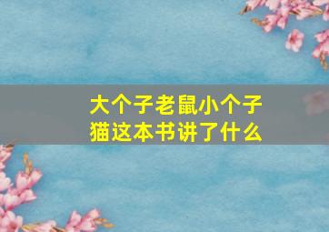 大个子老鼠小个子猫这本书讲了什么