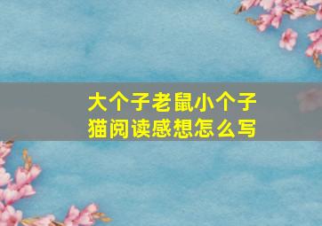 大个子老鼠小个子猫阅读感想怎么写