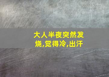 大人半夜突然发烧,觉得冷,出汗