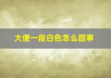 大便一段白色怎么回事