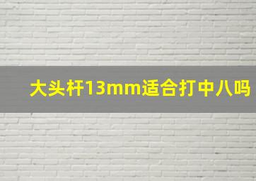 大头杆13mm适合打中八吗