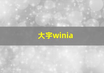 大宇winia