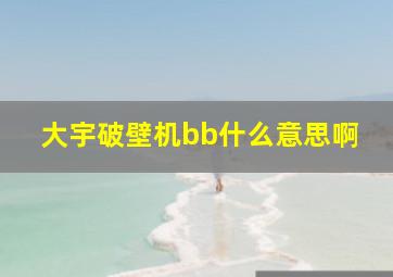 大宇破壁机bb什么意思啊