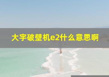 大宇破壁机e2什么意思啊