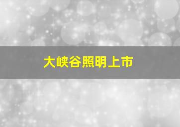 大峡谷照明上市