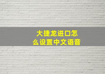 大捷龙进口怎么设置中文语音