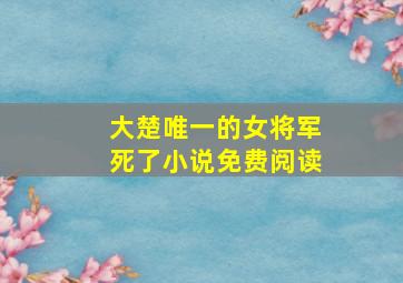 大楚唯一的女将军死了小说免费阅读