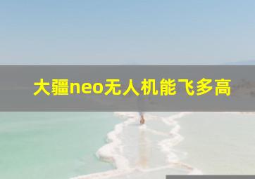 大疆neo无人机能飞多高