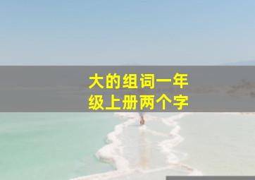 大的组词一年级上册两个字